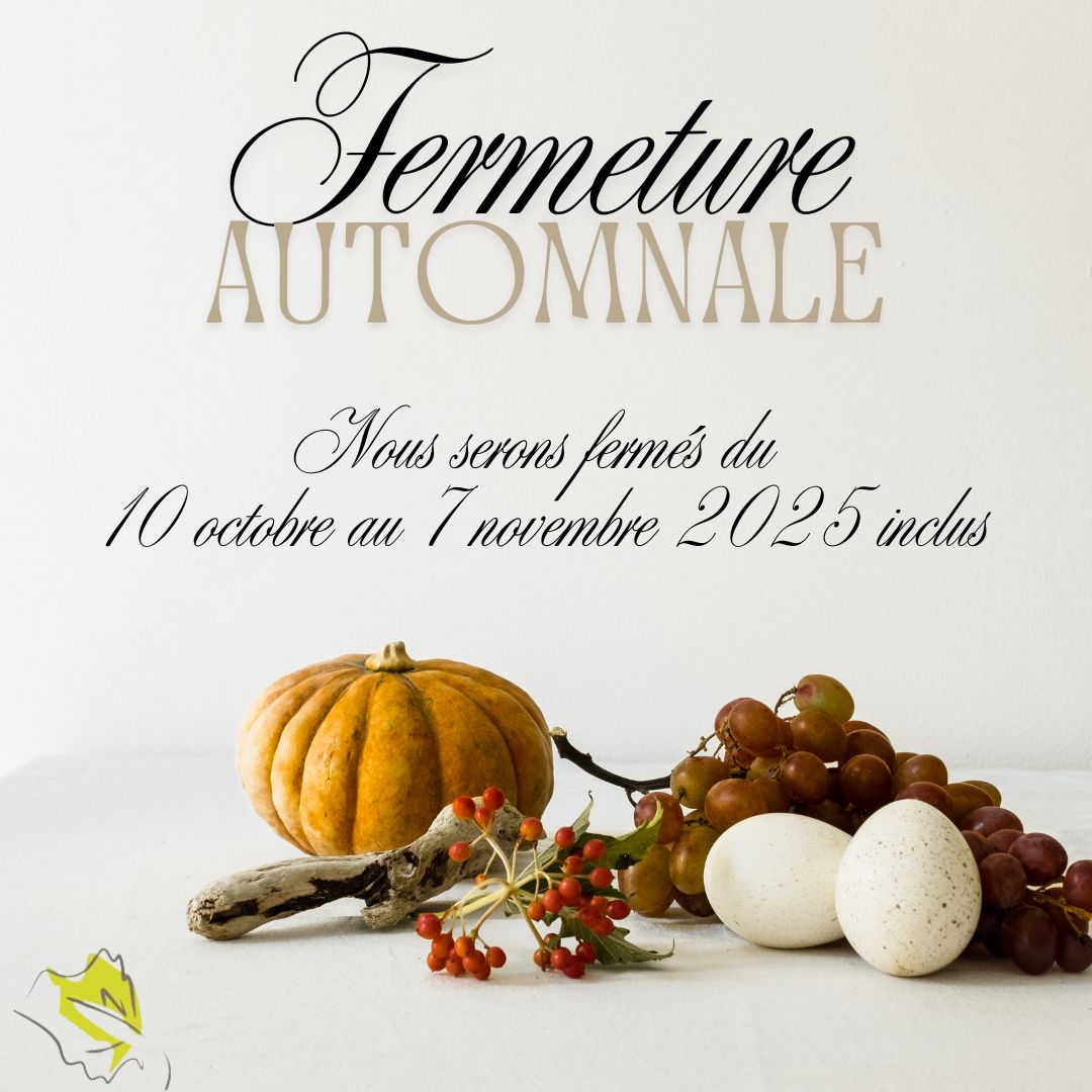 VISUEL TEMPORAIRE (2)